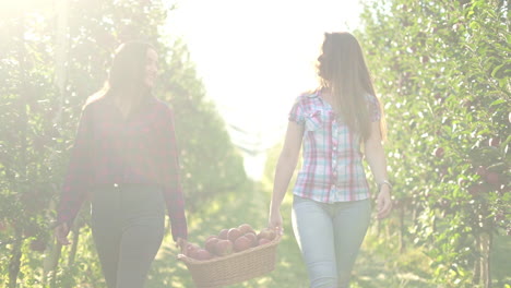 two women walking through an apple orchard with a basket of freshly picked apples