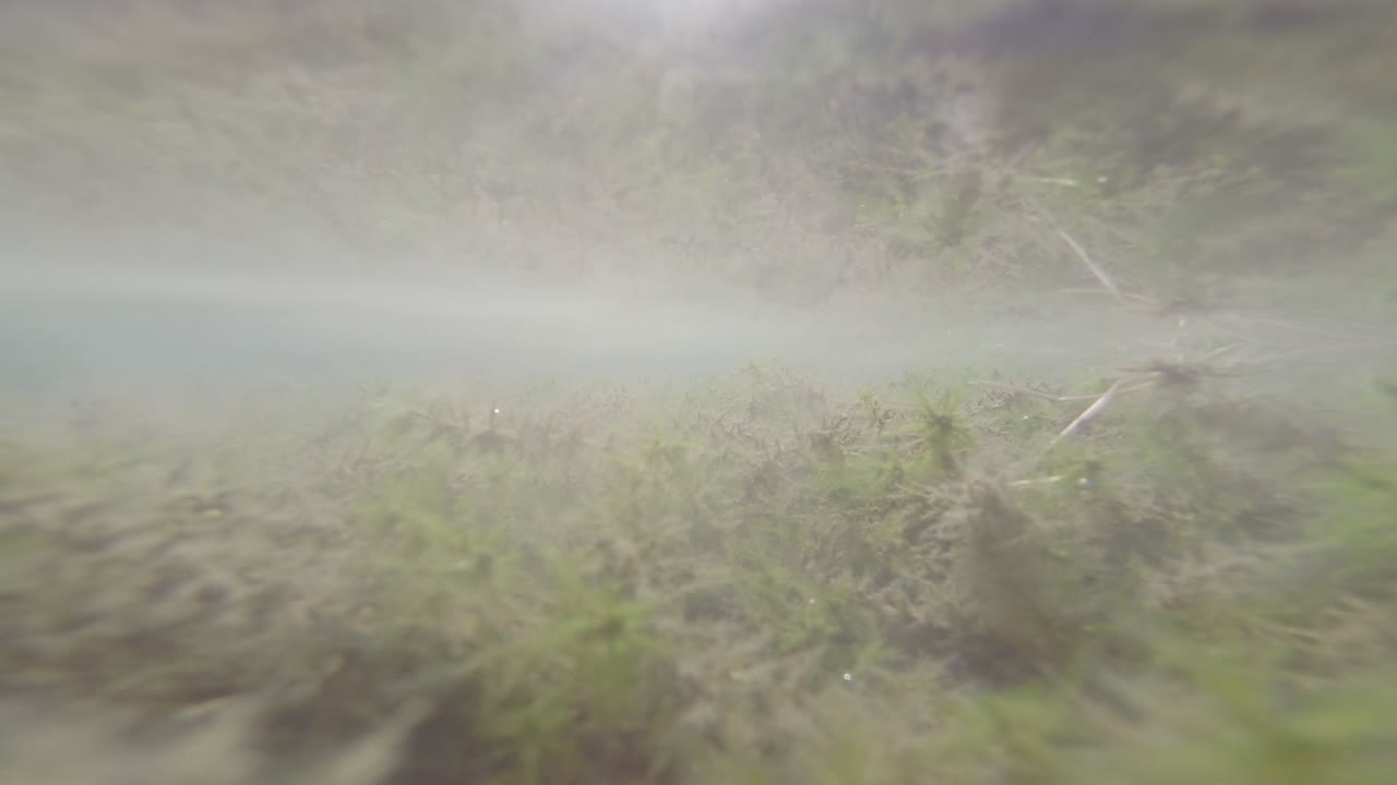 Underwater mirror shot of lagoon in the Andean mountains of Colombia