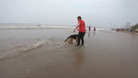 German-shepherd-dog-on-the-beach-playing-with-his-owner