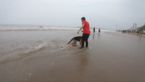 perro pastor alemán en la playa jugando con su dueño