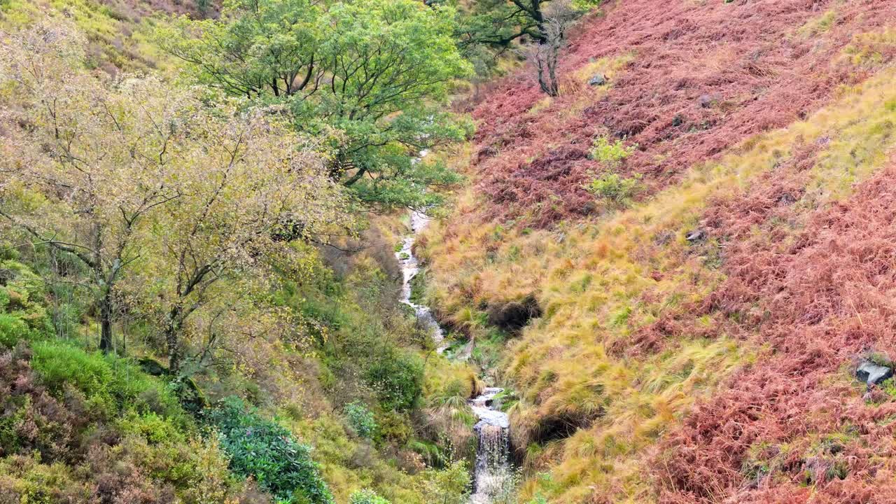느리게 움직이는 모어랜드 하천은 페닌 모어에서 부드럽게 흐르고, 작은 폭포, 강 및 헤더 인 계곡과 함께 항공 드론 비디오