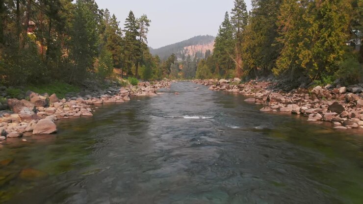 Low-altitude view of a calm river flowing through a rocky channel, bordered by evergreen trees and forested hills, shot in Washington State, USA
