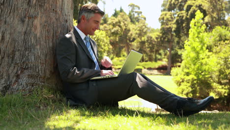businessman using laptop in the park