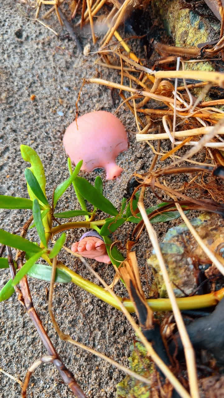 Approaching plastic head and hand half-hidden in the sand. Some straw is around the toy. Close up. Vertical video