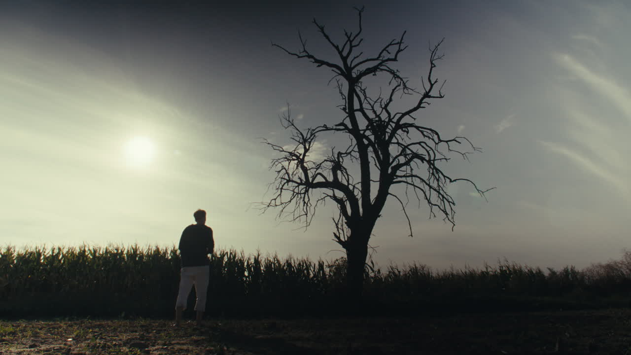 Silhouette of a person walking towards a bare tree in a field at sunset