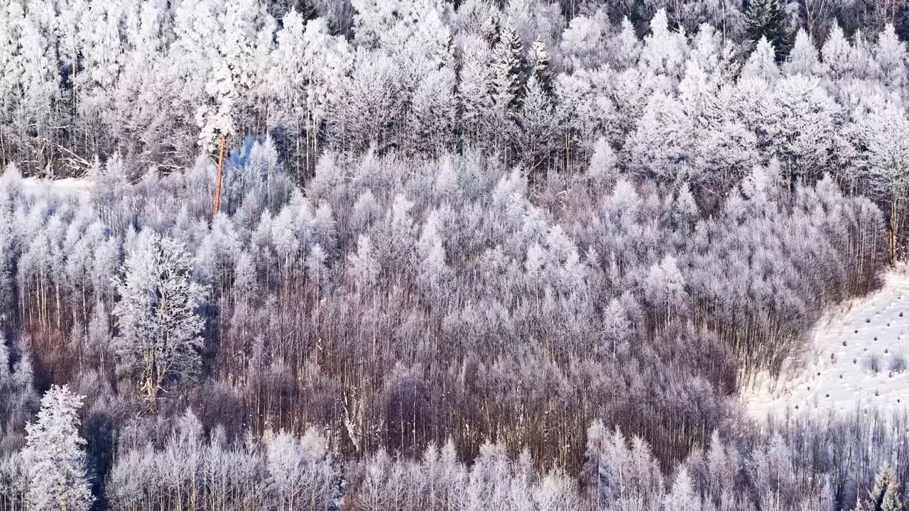 Luftsporing direkte over frostbelagt skov med træer dækket af sne og is, tyk baggrund