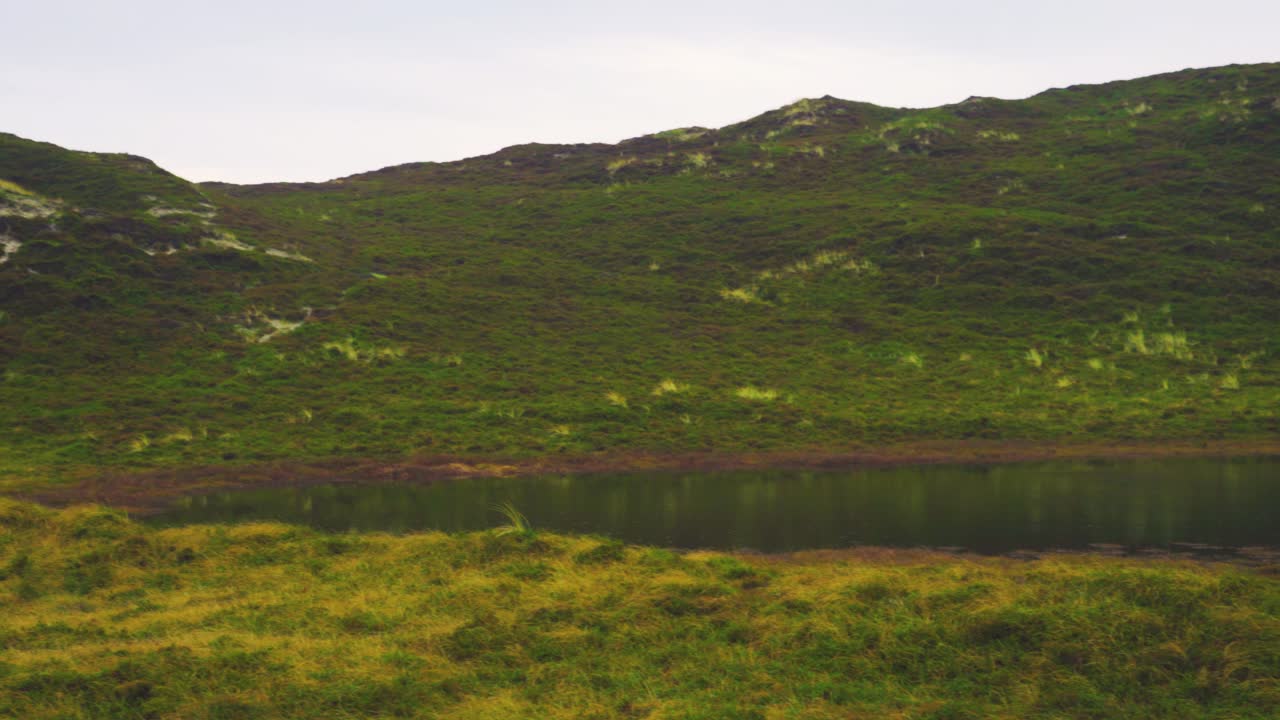 푸른 잔디 언덕과 평화로운 자연 속의 자연 호수