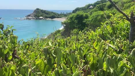 la playa del parque nacional de tayrona revelada a través de la vegetación en un día soleado