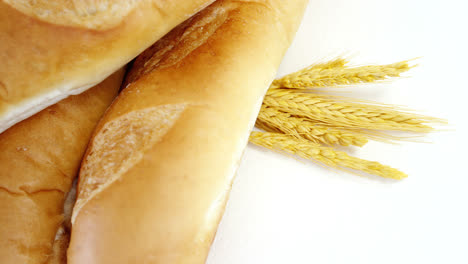 baguettes with wheat on white background