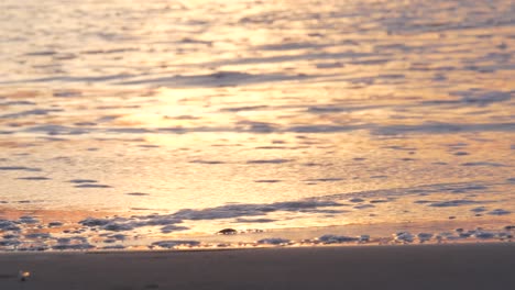 california ocean in sunlight, sea waves at sunset. sun light reflection on water