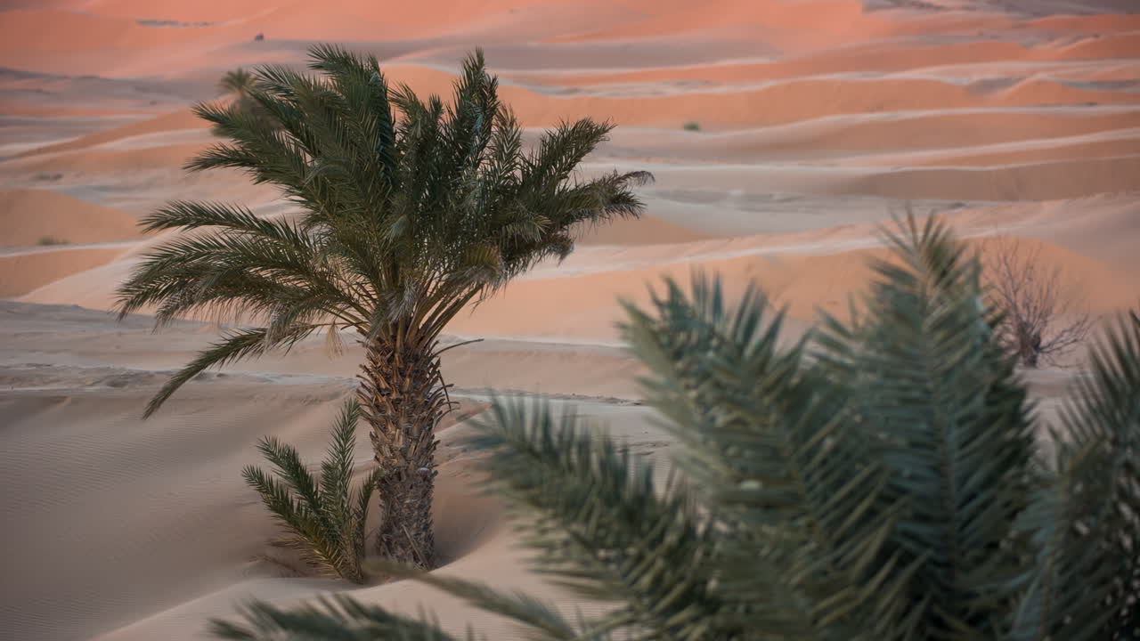 모로코의 사하라 사막에 있는 메르조가