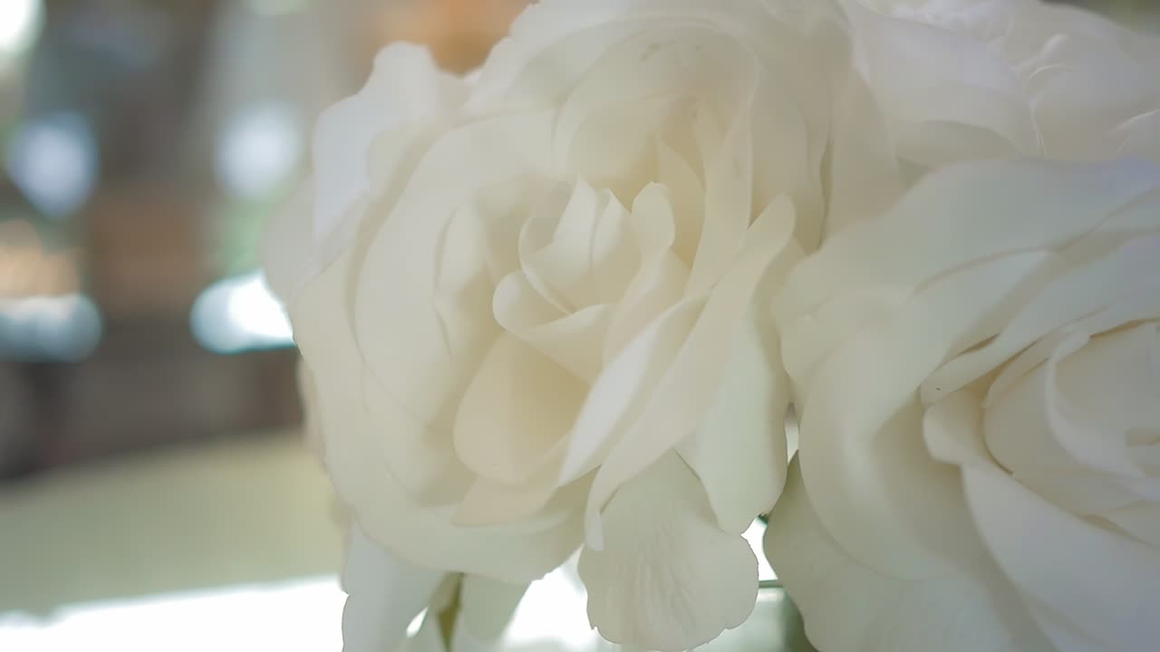 결혼식에서 흰 장미의 매크로 샷