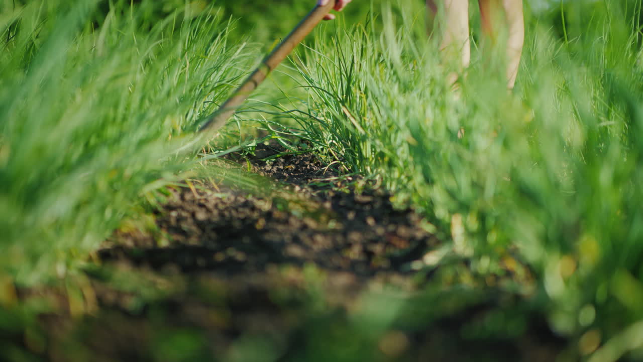 una mujer irreconocible deshierba un jardín con una variedad temprana de papas trabaja en la granja y el medio ambiente