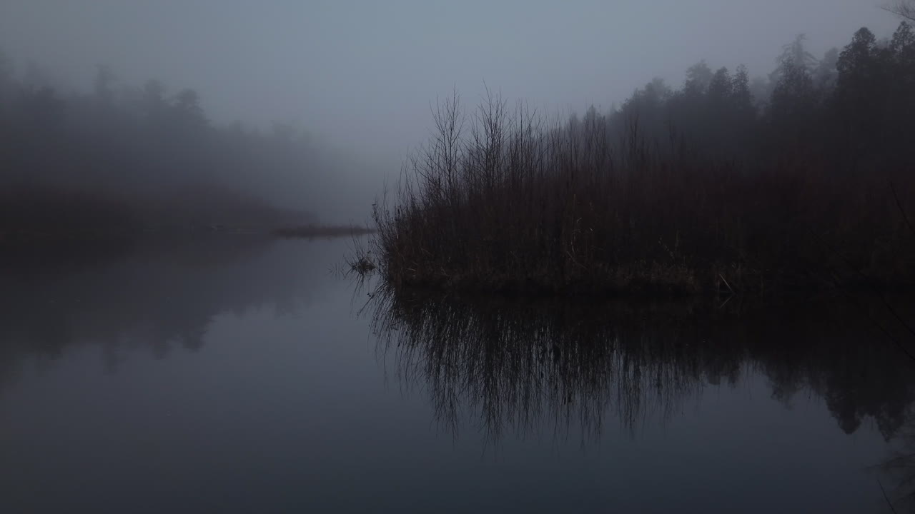 Misty Lake with Bare Trees and Forest Reflection