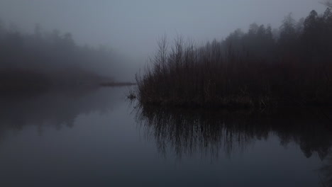 misty lake with bare trees and forest reflection