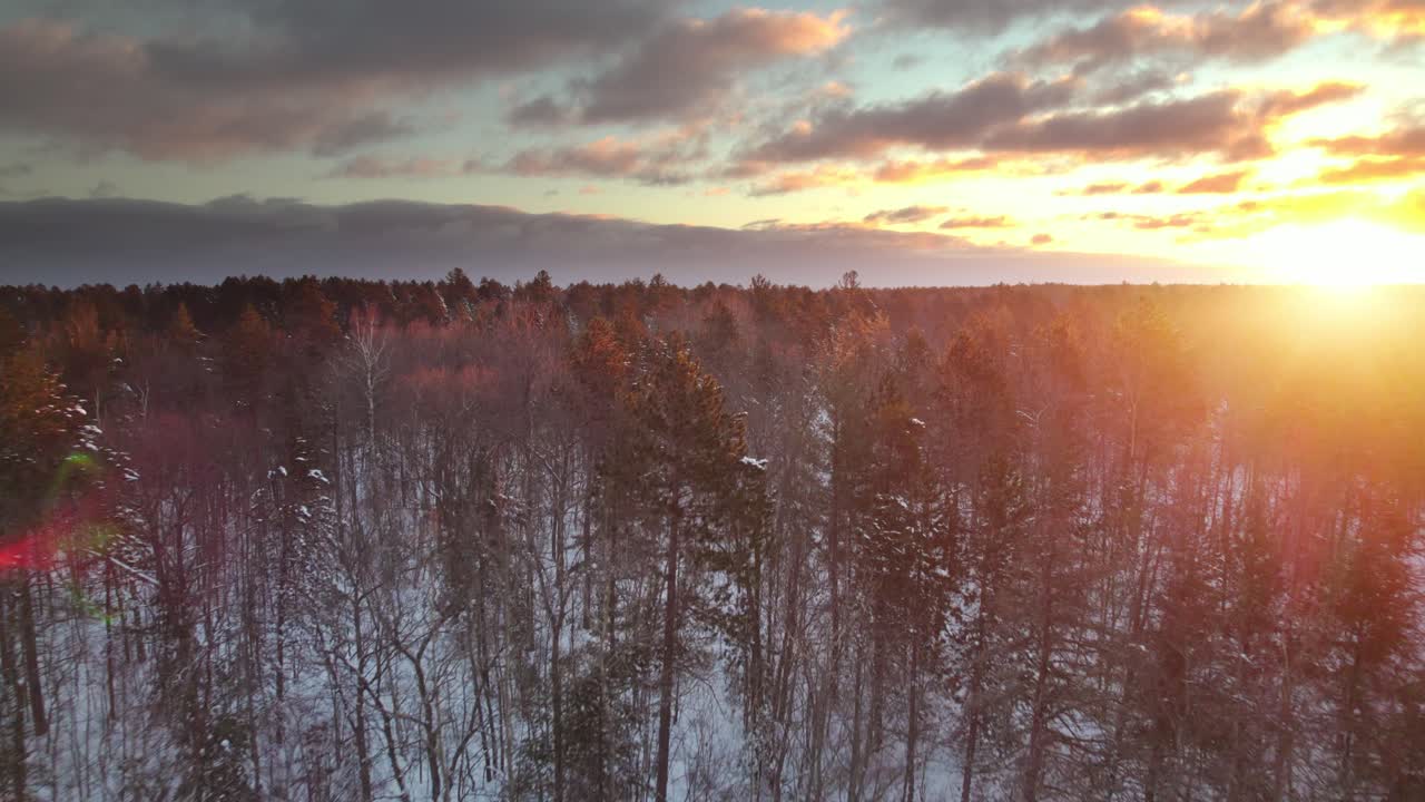 Plano aproximado de pinheiros cobertos de neve com um nascer do sol dramático ao fundo.