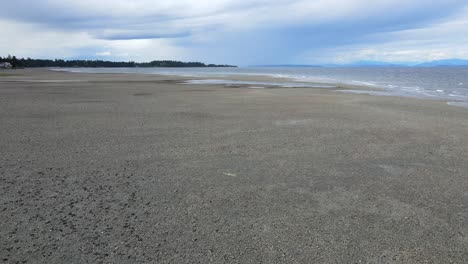 4k-aerial-view-of-male-person-walking-along-a-rocky-beach-on-Vancouver-Island,-Canada