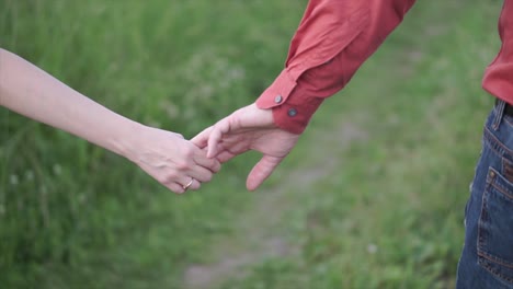 couple hand in hand in a field