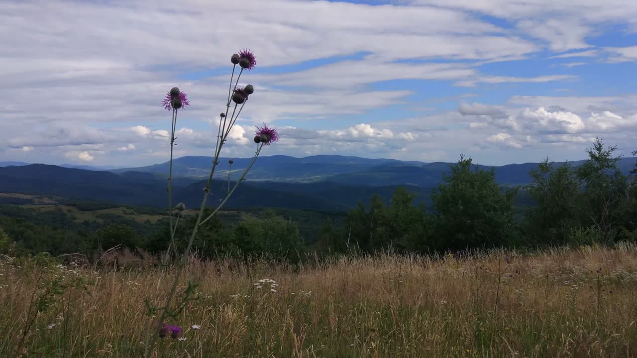 los cárpatos de verano