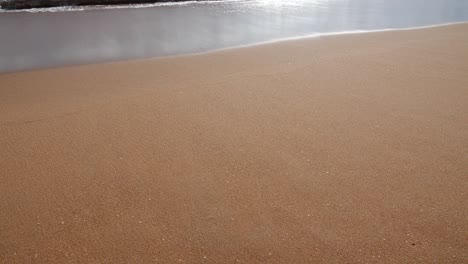 beautiful nature of clean beach and sea wave