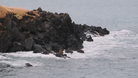 Ocean-waves-crash-against-rocky-coast-near-village-of-Hellisandur,-Iceland