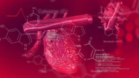 Animation-of-human-heart-and-scientific-data-processing