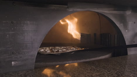 chef sosteniendo pizza en una bandeja e insertándola en el horno de piedra