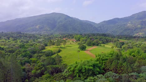 flight over the lush green jungle with palm trees and dense trees growing on large mountains