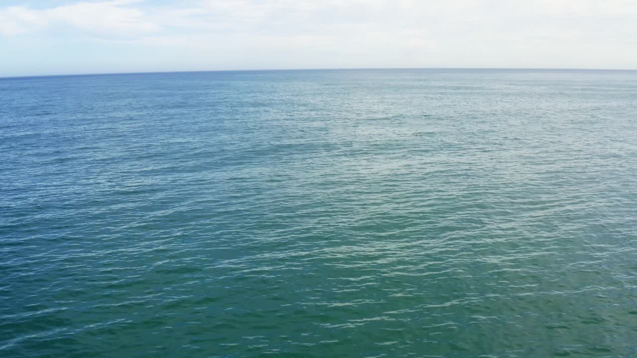 바다에서 고래 리