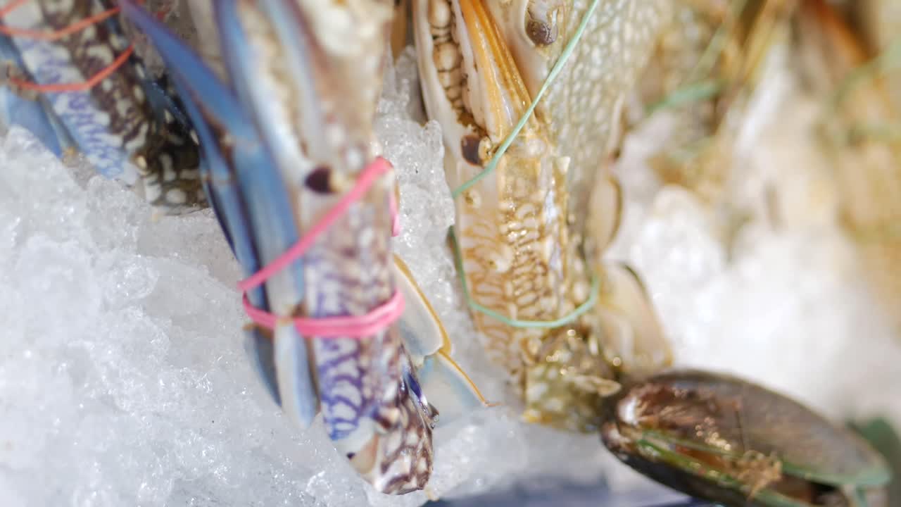 Close-up of Crabs on Ice