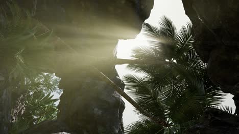 vertical-shot-of-tropical-cave-at-sunset