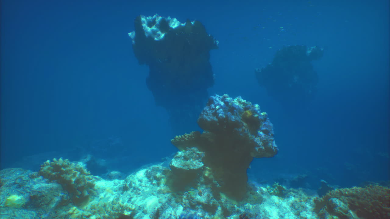 Underwater coral formations in clear tropical waters showcasing marine life