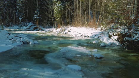 Aerial-drone-flight-moving-along-a-frozen-mountain-river-in-a-forest-with-snowy-tree-tops-in-the-Bavarian-Alps-in-winter-in-Germany,-close-to-Austria