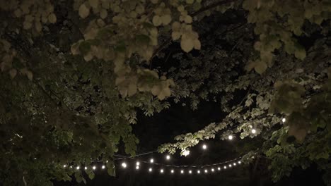 twinkling string lights under lush foliage at night creating a serene ambiance