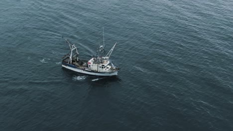 fishermen on a fishing trawler boat sailing at the open waters of saint lawrence river in quebec, canada