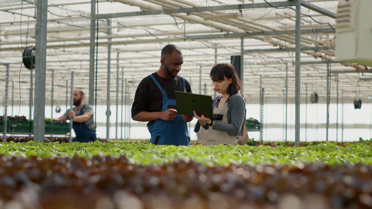 People working in a greenhouse