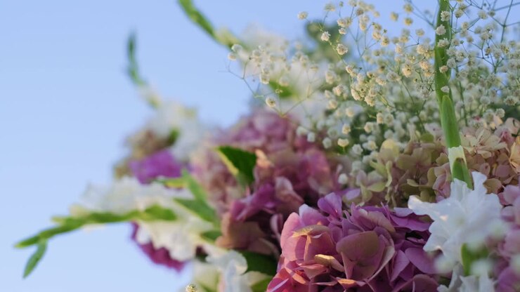 Shot of a bouquet of flowers by focusing from below