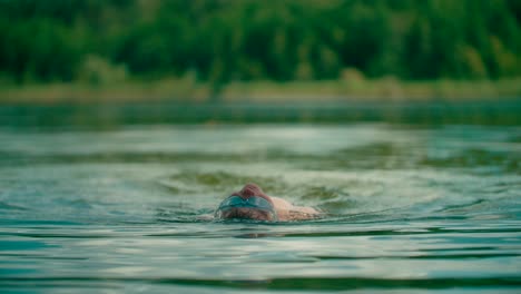 kid with safety goggles backstrokes on the freshwater lake with forest view on the background