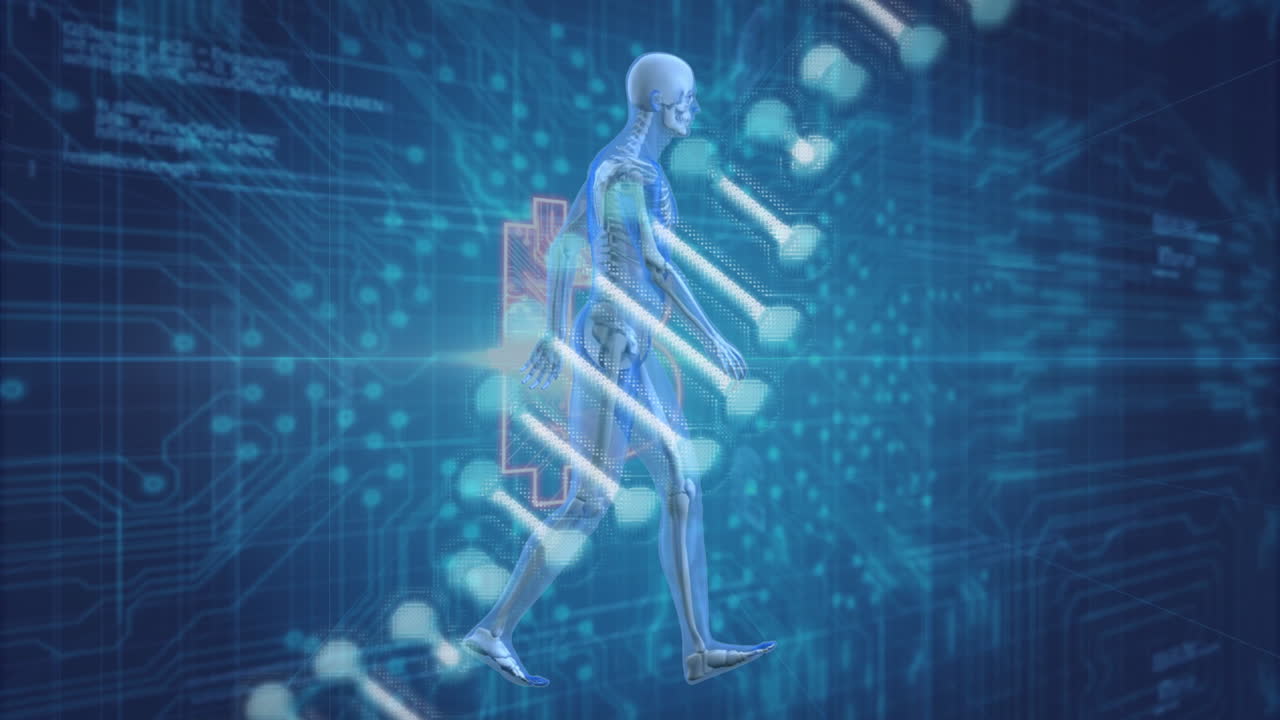 Animation of human skeleton with digital data overlay for medical technology concept