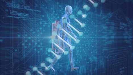 animation of human skeleton with digital data overlay for medical technology concept