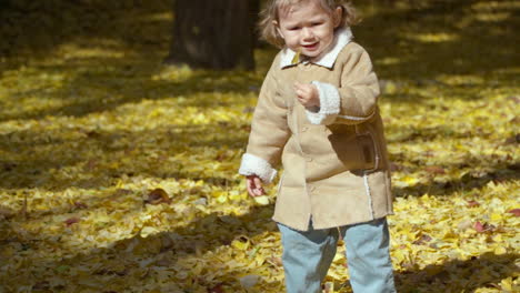 cute little girl pick up ginkgo biloba yellow fallen leaf from the ground in autumn park in slow motion