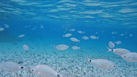 Tenager-Schwimmt-Unter-Wasser-–-Beschleunigen