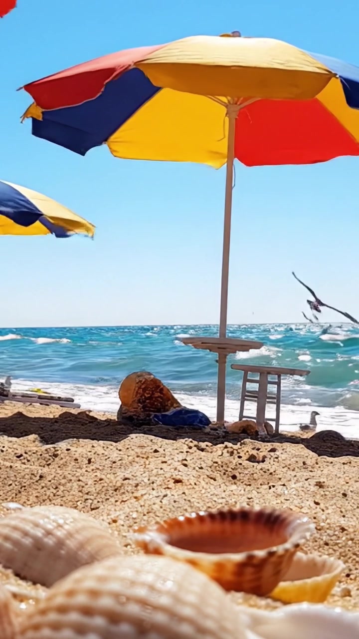 Una Splendida Giornata in Spiaggia: Ombrelloni Colorati, Acqua Scintillante e Conchiglie Creano una Scena Costiera Perfetta