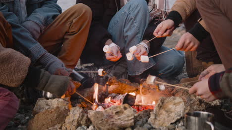 close up view of hands of a group of teenage friends roasting marshmallows on the bonfire