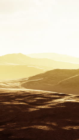 golden hour in the desert