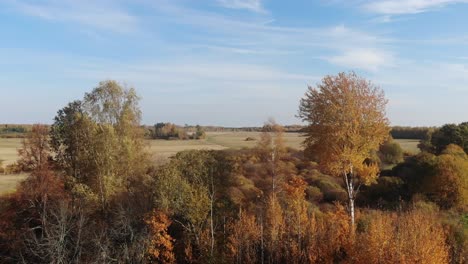 golden autumn aerial shot