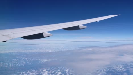 비행 중인 b787의 우아한 날개, 빛 하늘 배경