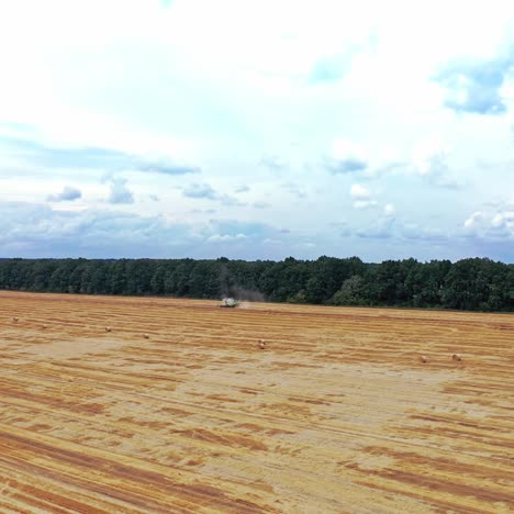 rollos de pajares en el campo