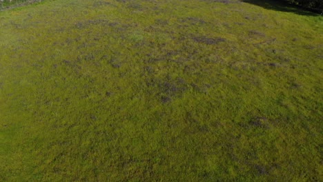 Spectacular-filming-with-a-drone-in-reverse-gear-and-ascent-where-we-discover-various-rural-plots,-some-wild-green,-yellow-with-flowers,-plowed-brown,-with-fruit-trees,-there-is-a-dirt-road