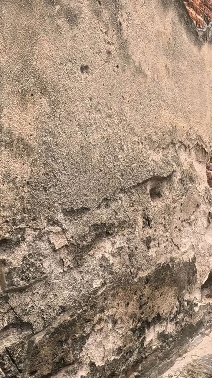 visita al templo desgastado con estatuas de buda